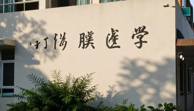 为什么技术支持服务总在关键时刻失效?